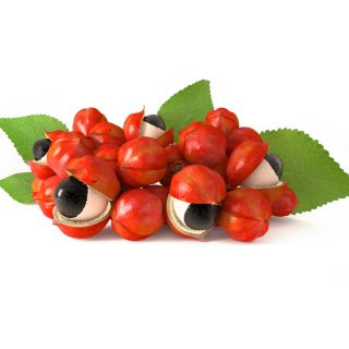 Guaraná (extracto de semilla)